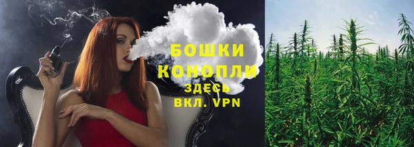 ECSTASY Новоузенск