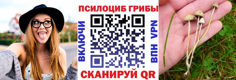 blacksprut   Шиханы  Псилоцибиновые грибы ЛСД 